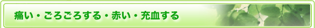 痛い・ごろごろする・赤い・充血する