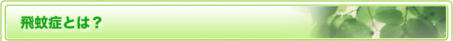 飛蚊症とは？